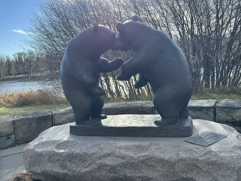 big fighting bear statues (4)