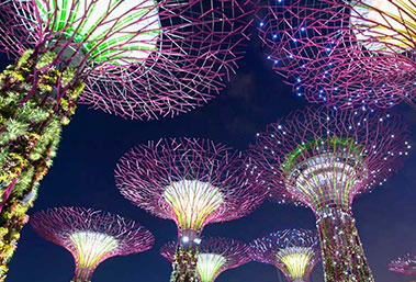 large tree sculpture with light