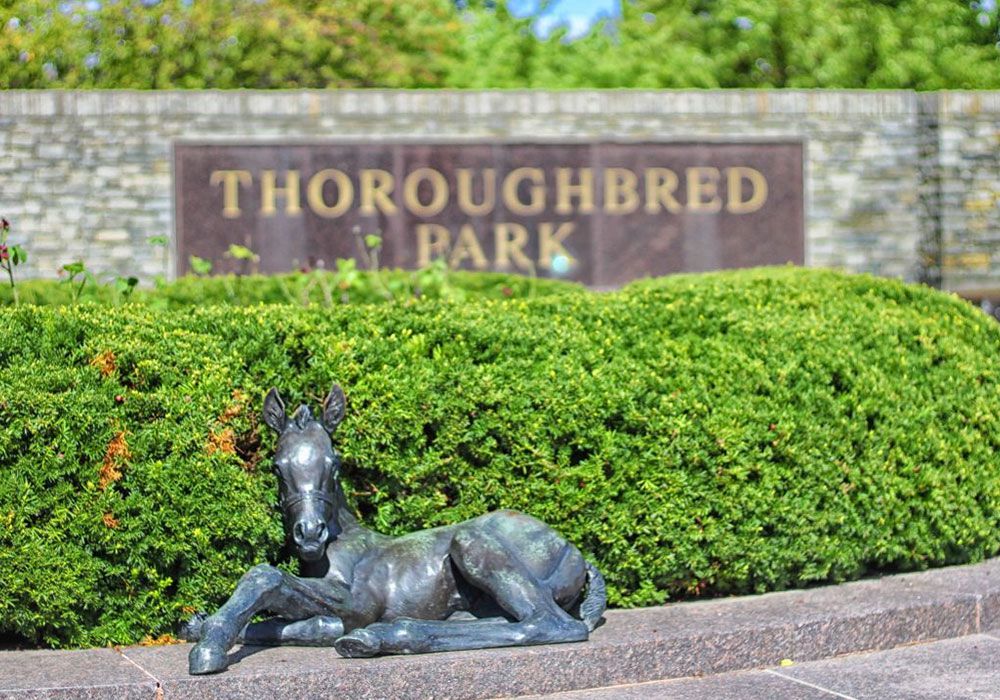 bronze horse sculpture for park (3)