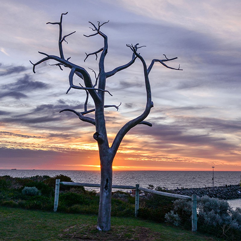 Stainless Steel Large Tree Sculpture