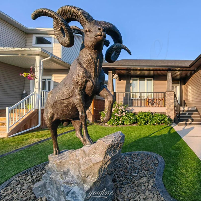 bronze-bighorn-statue-feedback-from-Canada