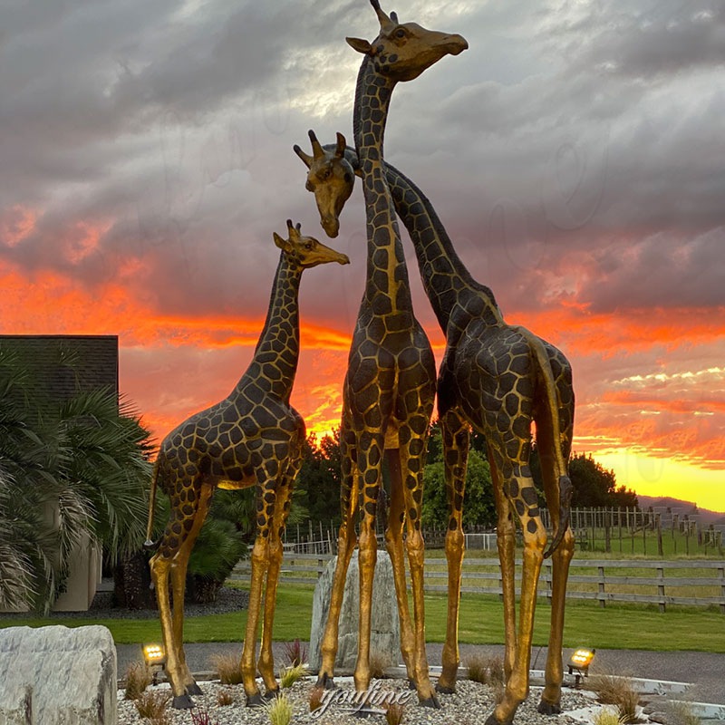 bronze-giraffe-statue-feedback